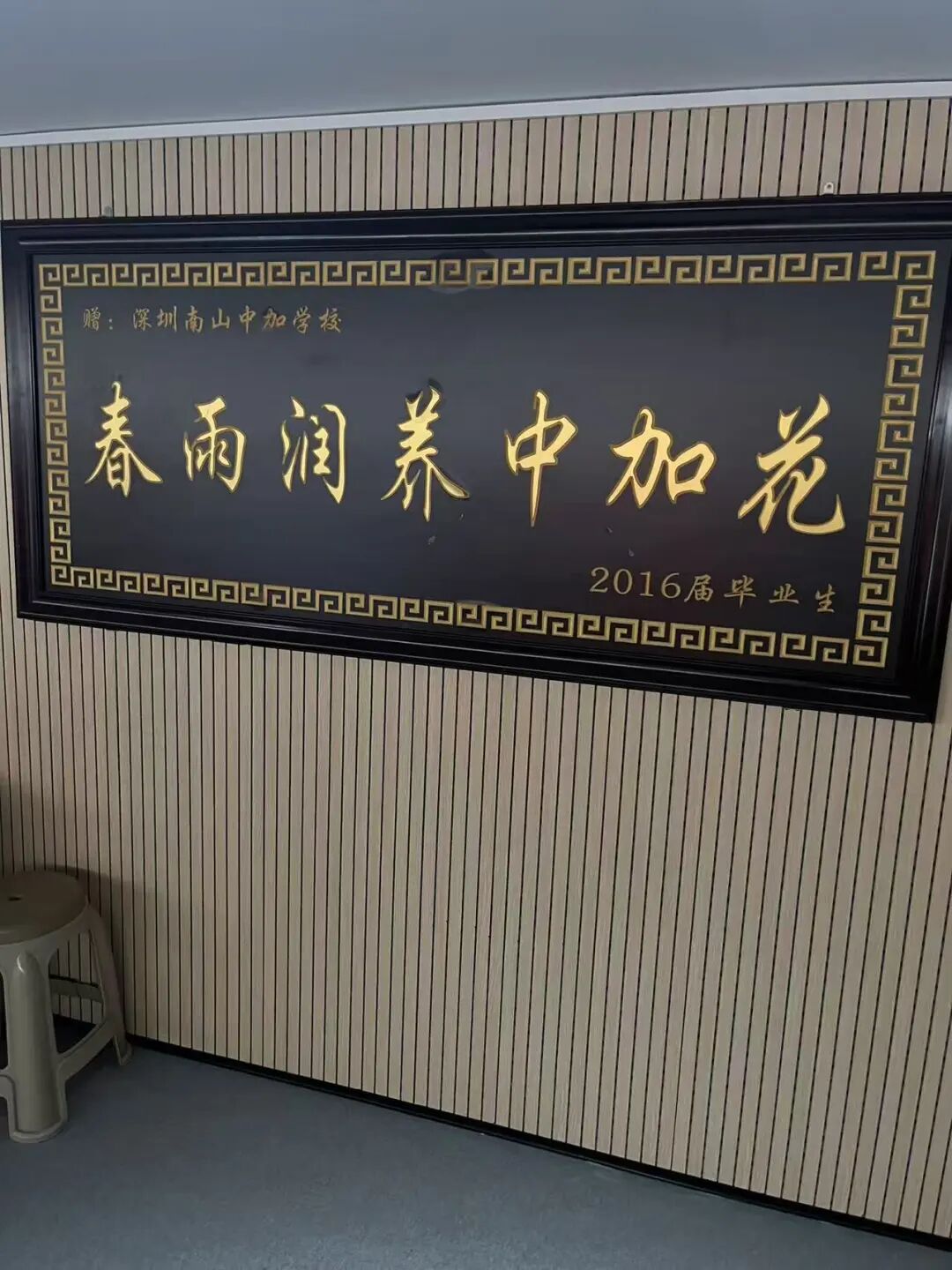 【星耀2026 · 从“新”启程】｜谷萏舒：勇于尝试 积极探索
